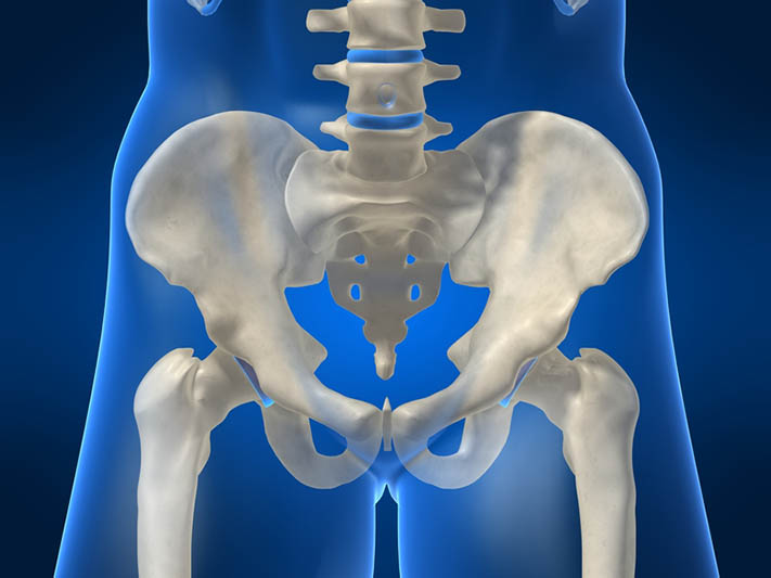 Adductors - Session 4 - Structural Integration