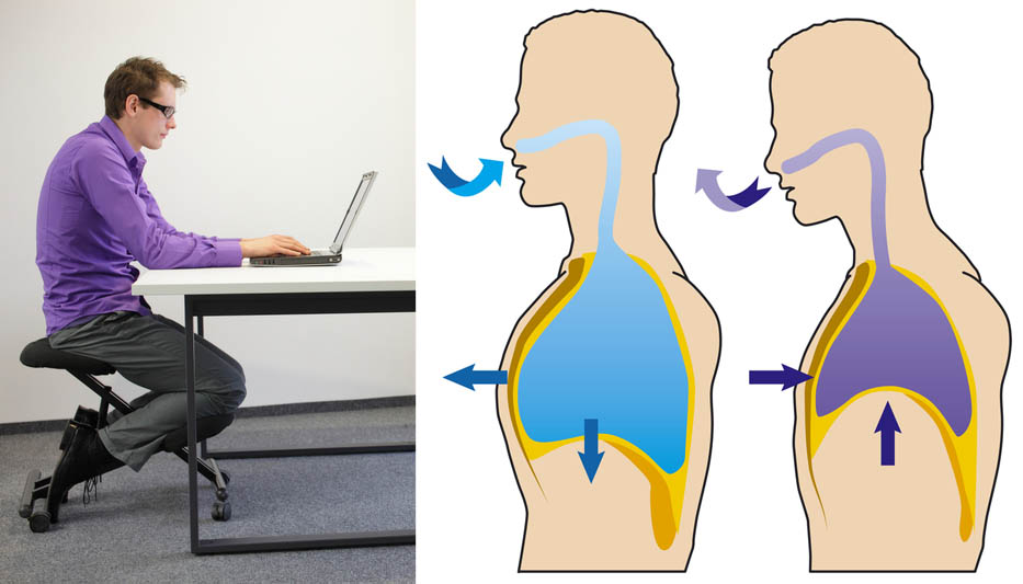 Vital Capacity - Session 1 - Structural Integration